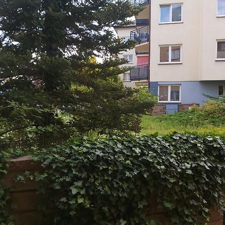 Apartament, 2 Pokoje, Stacja Metra Kabaty, Ursynow Warszawa Eksteriør billede